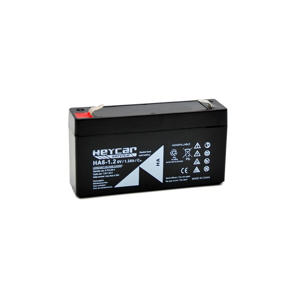 P490//HEYCAR 6v.1,2ah