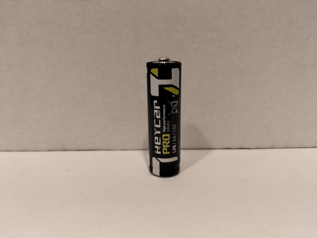 H005//LR06 BULK PRO HEY