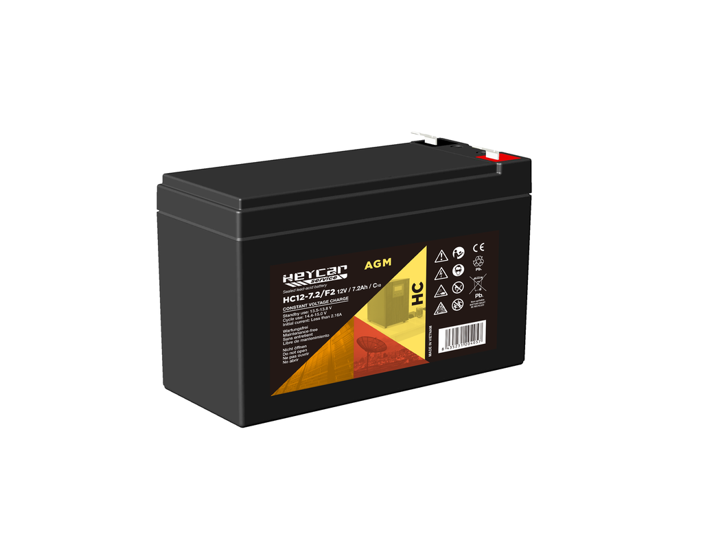 P575//HA12-7,2 F2C HEY