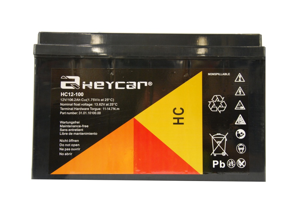 P206//HEYCAR 12v.100ah F12