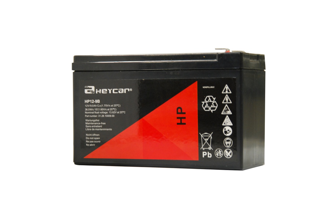 P222//HEYCAR 12v.9Ah F2