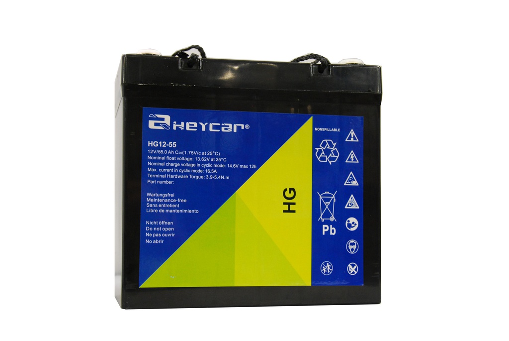 P451//HEYCAR 12V. 55 Ah Cyclic. F11