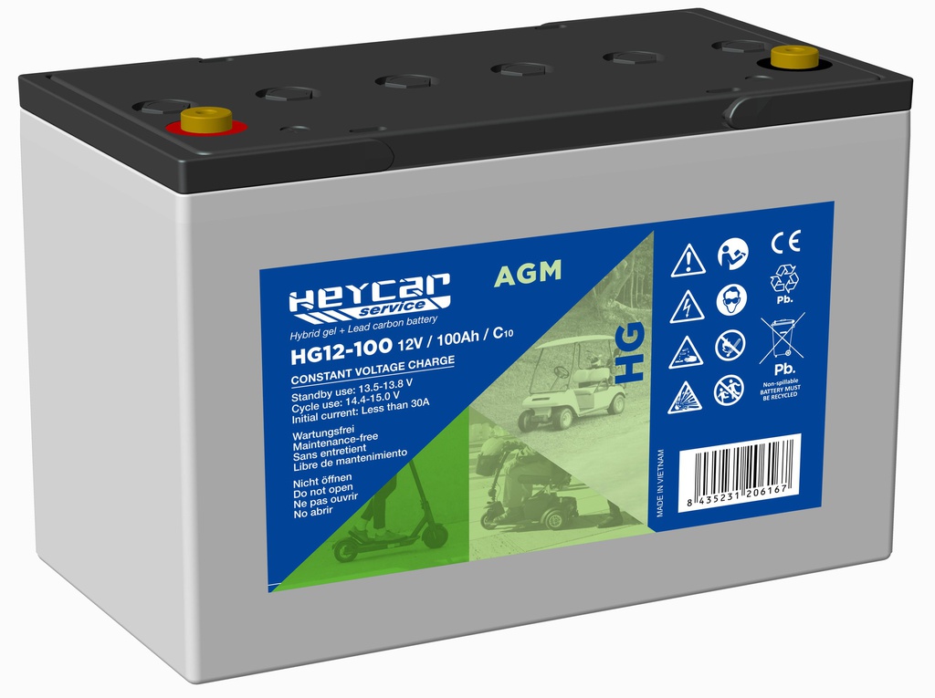 P458//HEYCAR 12V 100Ah Cyclic