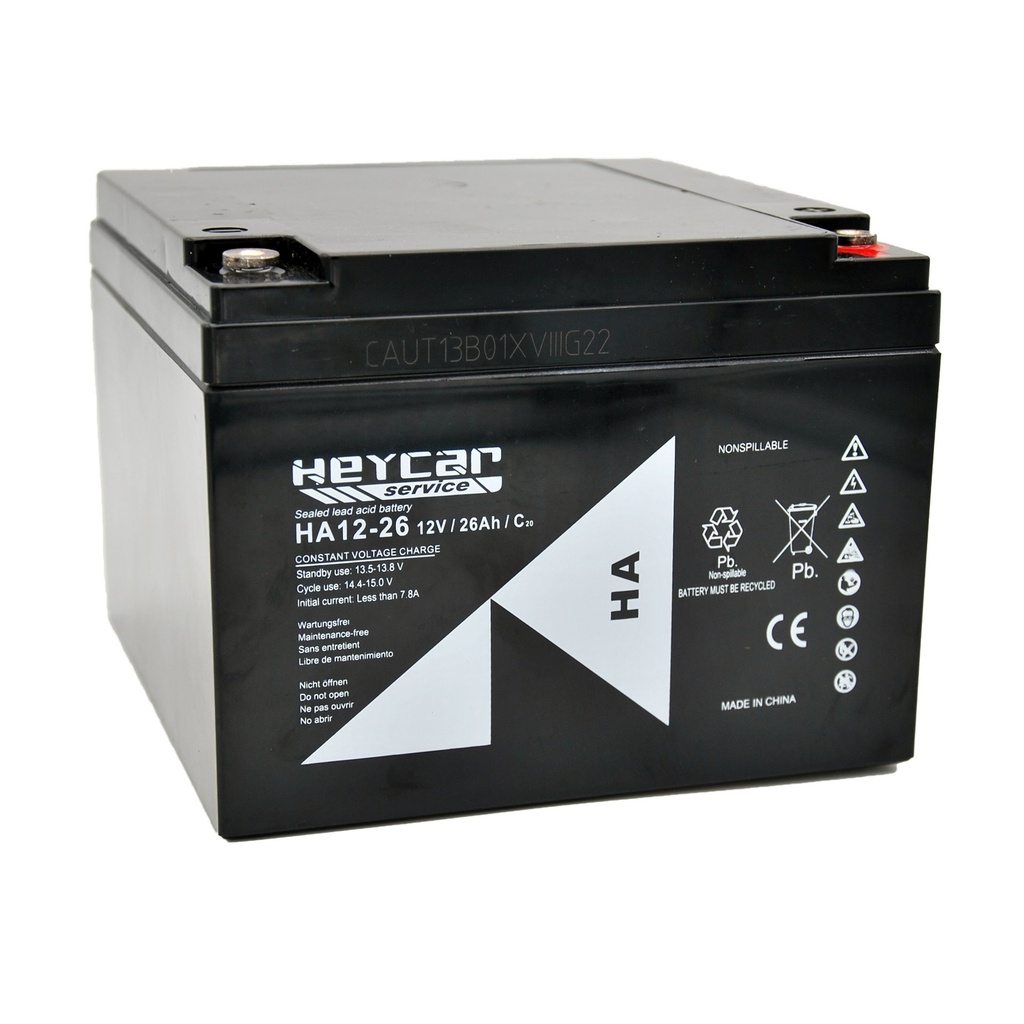 P489//HEYCAR 12v.26ah