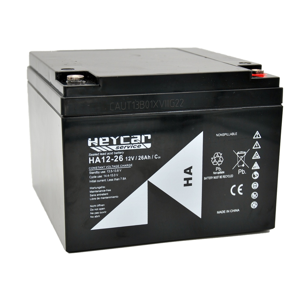 P489//HEYCAR 12v.26ah