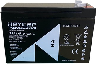 P495//HA12-9 HEYCAR SERVICE T1