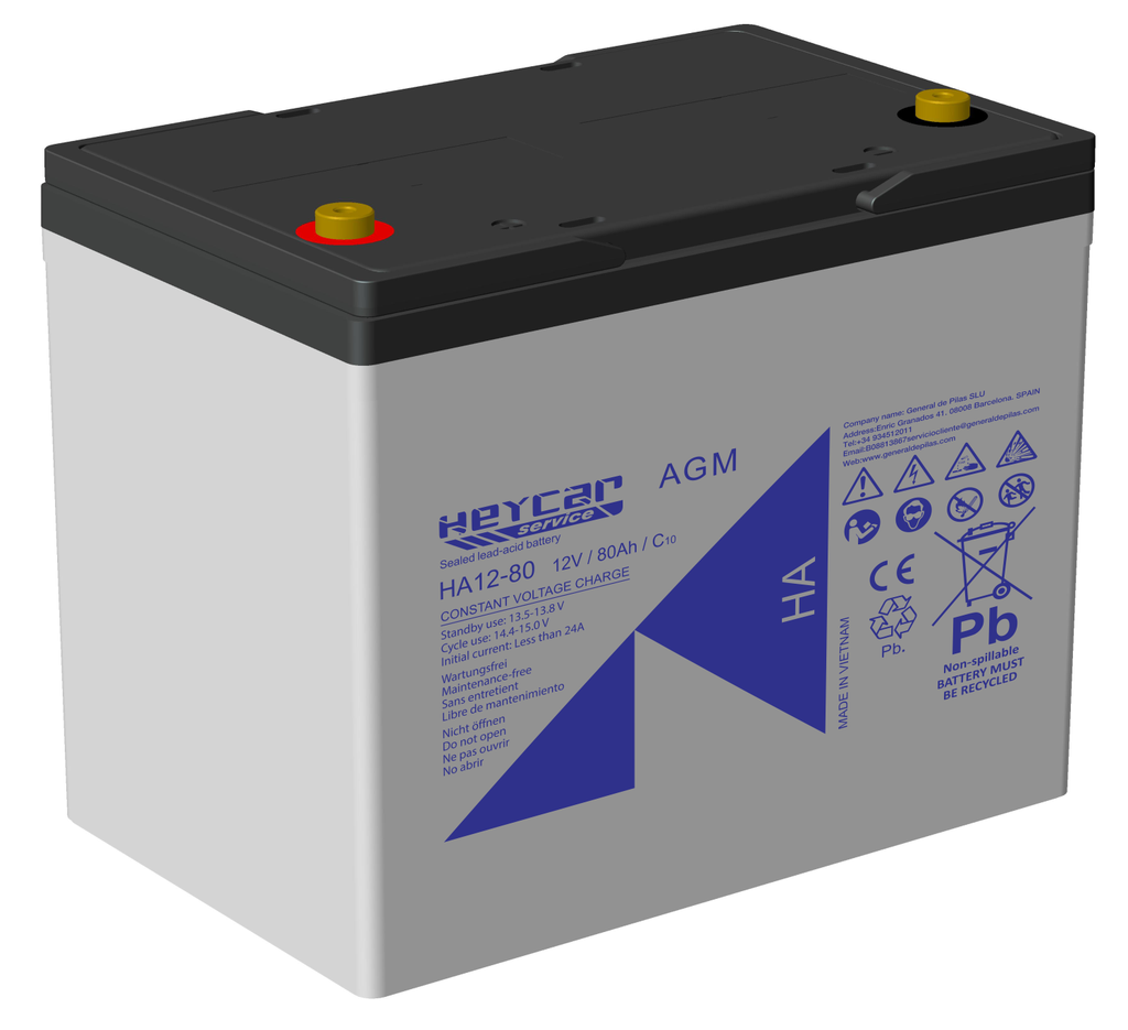 P529//HA12-80 T14 HEY