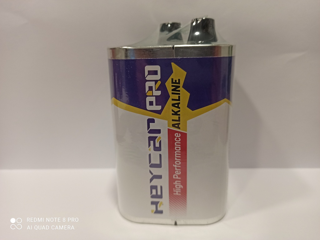 H011//4LR25-R PRO ALCALINA 6V