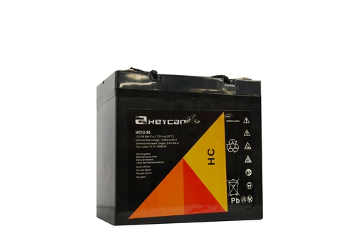 [HC12-55 HEY] P333//HEYCAR 12v.55ag  F11