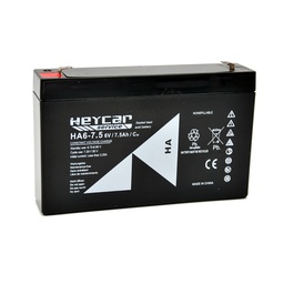 [HA6-7,5 HEY] P474//HA6-7,5 T1 HEYCAR SERVICE