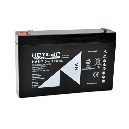 [HA6-7,5 HEY] P474//HA6-7,5 T1 HEYCAR SERVICE