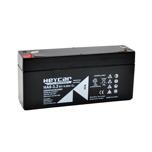 [HA6-3,2 HEY] P480//HA6-3,2 T1 HEYCAR SERVICE