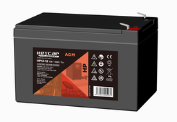 [HP12-12 HEY] P487//HEYCAR 12v.12Ah F2