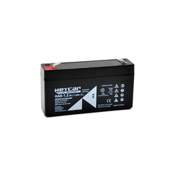 [HA6-1,2 HEY] P490//HEYCAR 6v.1,2ah