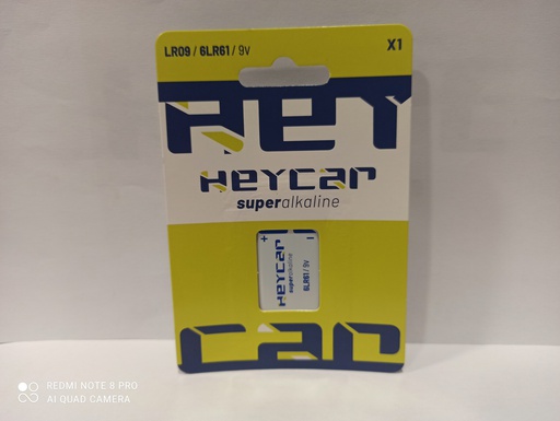 [LR09-B1 HEY] H008//LR09 BLISTER HEY