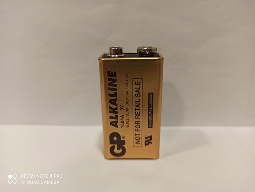 [LR09-RGN GP] G565//GN1604A(BULK) ALKALINE 9V