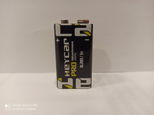 [LR09-R PRO HEY] H013//LR09 BULK PRO HEY