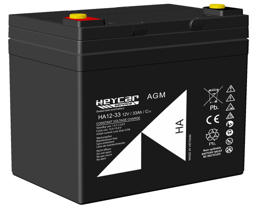 [HA12-33 HEY] P595//HA12-33 STANDAR T11